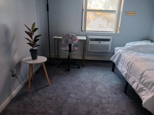 Comfy Room in Fresh Meadows in 퀸즈 Comfy Room in Fresh Meadows in 퀸즈