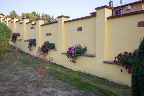 Kondics Apartmanhaz in Hegykozseg Kondics Apartmanhaz in Hegykozseg