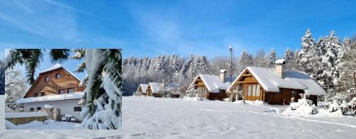 Chatky a apartmany Apollo na Vysocine in Nove Mesto Na Morave Chatky a apartmany Apollo na Vysocine in Nove Mesto Na Morave