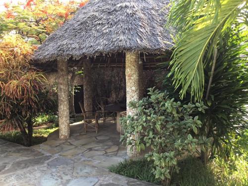 Villa Coconut in Watamu Villa Coconut in Watamu