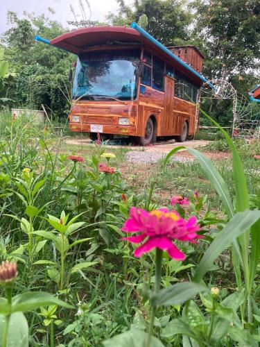 Bus Resort in Phrao Bus Resort in Phrao
