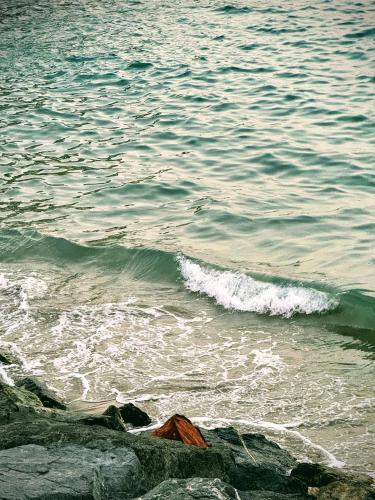 Address Beach Resort Fujairah - AU 79 CODE in Al Aqah Address Beach Resort Fujairah - AU 79 CODE in Al Aqah