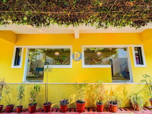 Vchod, The Hosteller Goa, Anjuna in Goa Vchod, The Hosteller Goa, Anjuna in Goa