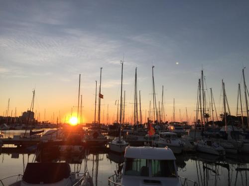 This photo about Las Palmeras shared on HyHotel.com