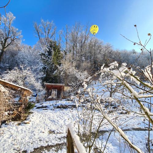 ガーデン, Auszeitoase am Wald und Bach in スルゲン ガーデン, Auszeitoase am Wald und Bach in スルゲン