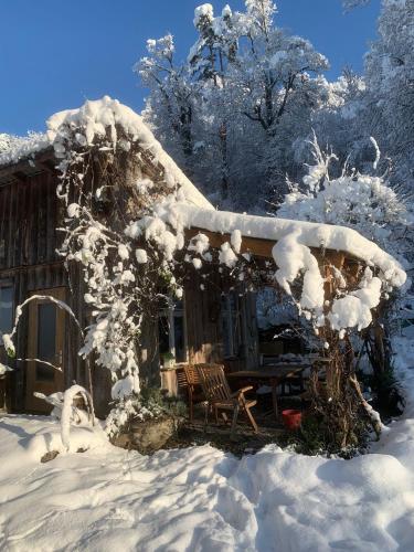 ガーデン, Auszeitoase am Wald und Bach in スルゲン ガーデン, Auszeitoase am Wald und Bach in スルゲン