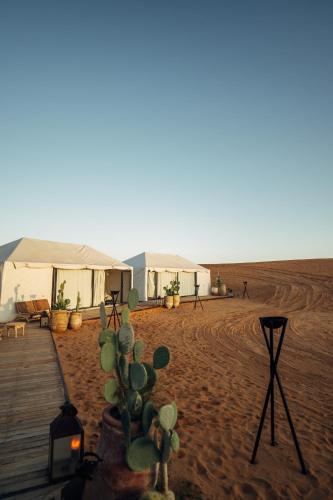 Surrounding environment, Sahara pearl Hotel in Merzouga Surrounding environment, Sahara pearl Hotel in Merzouga