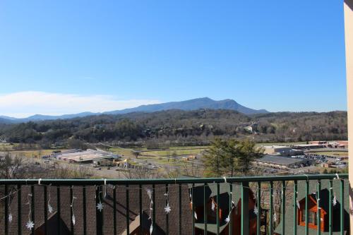 在meiguo.com看到的What A View的介绍图片