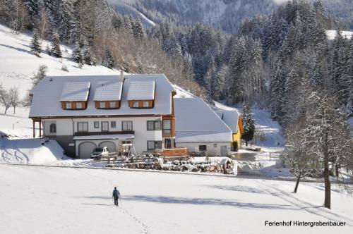 مدخل, Ferienhof Hintergrabenbauer in Spital Am Pyhrn مدخل, Ferienhof Hintergrabenbauer in Spital Am Pyhrn