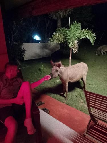 Greenbury Kite Hostel & Restaurant in Kalpitiya Greenbury Kite Hostel & Restaurant in Kalpitiya