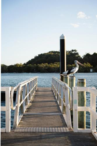 Culburra Beach Motel in Golful Jervis Culburra Beach Motel in Golful Jervis