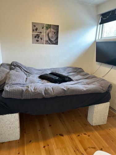 Privat lejlighed med gratis parkering, tæt på natur og by (Lækker og lys lejlighed med fri parkering tæt pa bade pulserende byliv samt rolige omgivelser i form) in Randers városközpont Privat lejlighed med gratis parkering, tæt på natur og by (Lækker og lys lejlighed med fri parkering tæt pa bade pulserende byliv samt rolige omgivelser i form) in Randers városközpont