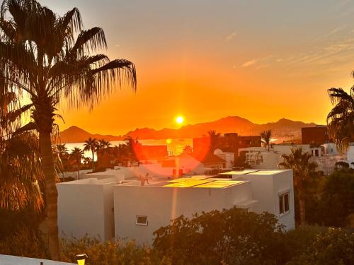 Spectacular Vacation Home Ocean View Walk to Beach