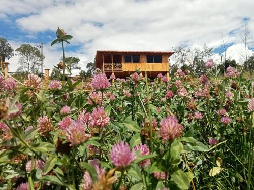 Cabana Colibri in Salitre Cabana Colibri in Salitre