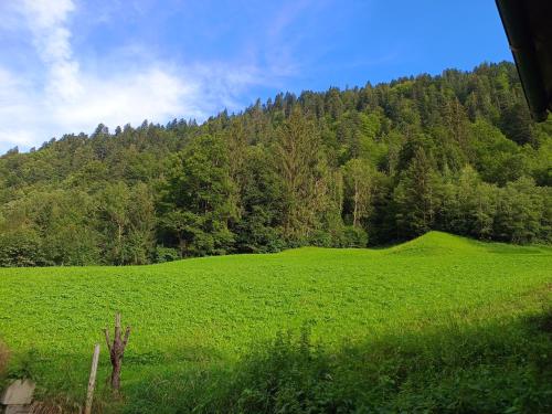 Vistas, Ferienhütte See 4 (Ferienhutte See 4) in Sonntag Vistas, Ferienhütte See 4 (Ferienhutte See 4) in Sonntag