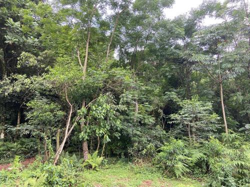 Cabaña del Chachi 2 (Cabana del Chachi 2) in 오베라 Cabaña del Chachi 2 (Cabana del Chachi 2) in 오베라