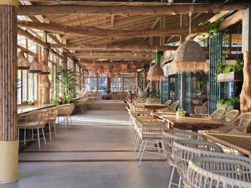 레스토랑, Cocohut Beach Resort in 꼬팡안 레스토랑, Cocohut Beach Resort in 꼬팡안