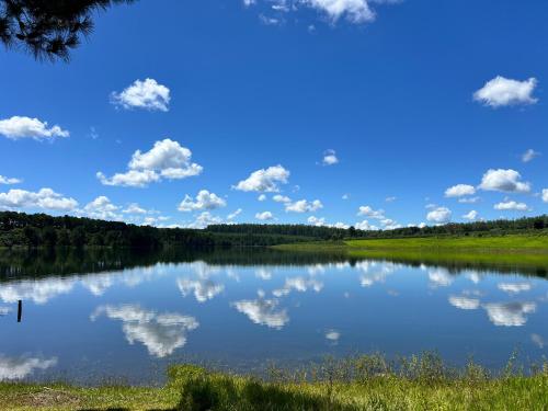 전망, Departamento con vista al lago in 푸에르토 리버타드 전망, Departamento con vista al lago in 푸에르토 리버타드