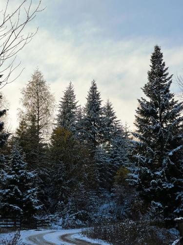 Nord Hill - Zlatar Hill - kuća za odmor (Nord Hill - Zlatar Hill - kuca za odmor) in Nova Varoš Nord Hill - Zlatar Hill - kuća za odmor (Nord Hill - Zlatar Hill - kuca za odmor) in Nova Varoš