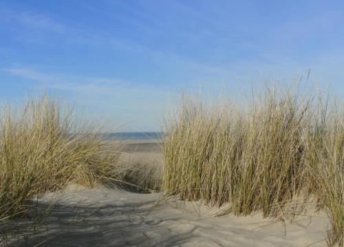 7even in Vrouwenpolder 7even in Vrouwenpolder