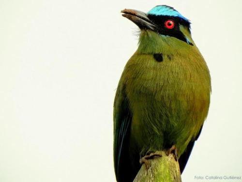 This photo about Casa Caballero Hotel Boutique shared on HyHotel.com