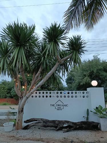 Garden, The Organic Farmstay Khoa Yai (ดิ ออร์แกนิค ฟาร์มสเตย์ เขาใหญ่) near Khao Yai Floating Market Garden, The Organic Farmstay Khoa Yai (ดิ ออร์แกนิค ฟาร์มสเตย์ เขาใหญ่) near Khao Yai Floating Market