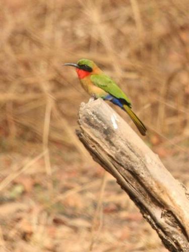 This photo about Hotel Germain - Ganvie Holiday Resort shared on HyHotel.com