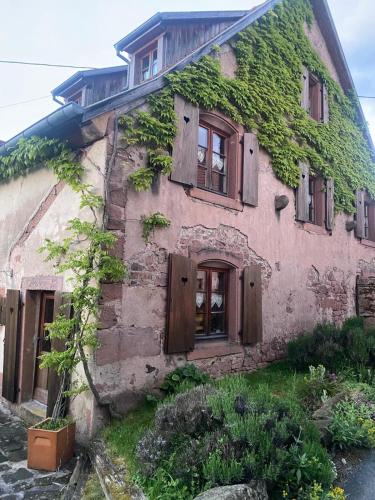 La maison aux quatres lavandes in Dieffenbach-Au-Val La maison aux quatres lavandes in Dieffenbach-Au-Val