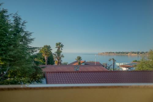 A környék, Apartments Angelica 1 in Dajla A környék, Apartments Angelica 1 in Dajla