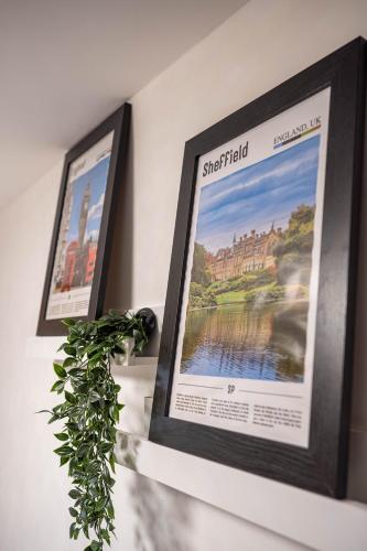 Norfolk Park Rooms - Sheffield City in อาร์เบอร์ธอร์น Norfolk Park Rooms - Sheffield City in อาร์เบอร์ธอร์น