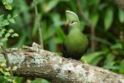 This photo about Tendele shared on HyHotel.com