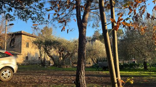 Garden, POGGIO ROSETO in Reggio Calabria Garden, POGGIO ROSETO in Reggio Calabria