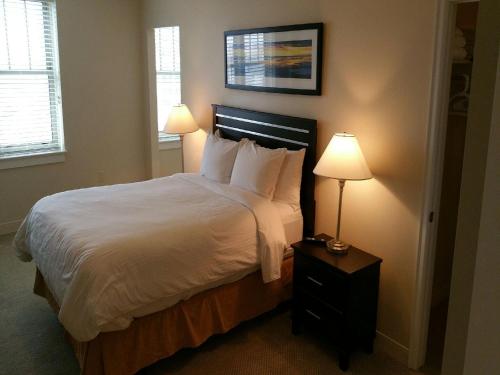 在meiguo.com看到的Oakwood at Mosaic South的介绍图片