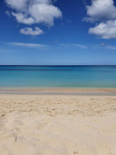 Pantai, The Haven in Speightstown Pantai, The Haven in Speightstown