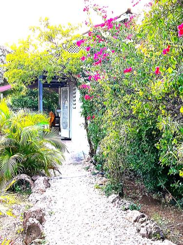 酒店外观, San Sebastian Lodge Curaçao (San Sebastian Lodge Curacao) in 威利布罗德 酒店外观, San Sebastian Lodge Curaçao (San Sebastian Lodge Curacao) in 威利布罗德