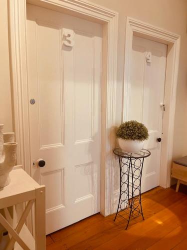 CitiRooms Auckland near Közlekedési és Műszaki Múzeum (MOTAT) CitiRooms Auckland near Közlekedési és Műszaki Múzeum (MOTAT)