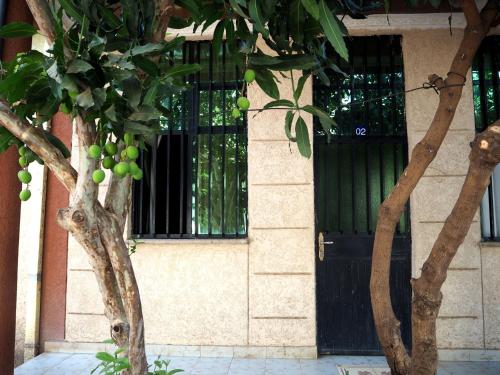 This photo about Manuhie Backpackers Lodge shared on HyHotel.com