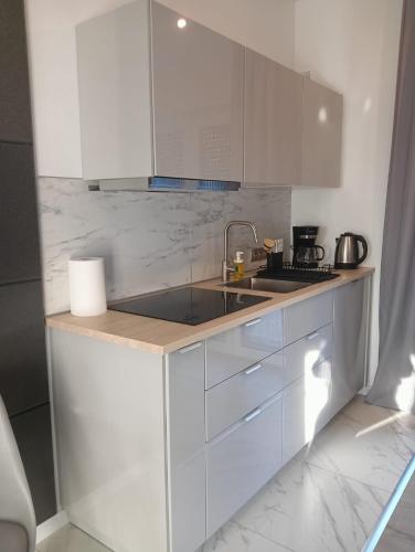 Konyha, Apartament Jana Pawła (Apartament Jana Pawla) in Moszna Konyha, Apartament Jana Pawła (Apartament Jana Pawla) in Moszna