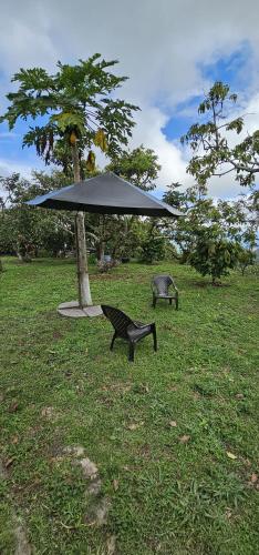 정원, Tranquilidad en el campo Rega in 마리키타 정원, Tranquilidad en el campo Rega in 마리키타