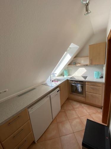 Konyha, Nordheide mit Hund in Hollenstedt Konyha, Nordheide mit Hund in Hollenstedt