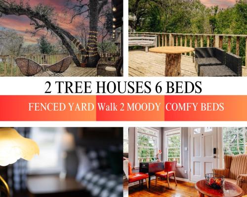 Two Treehouse oasis on UT Campus-Wildflower Blooms