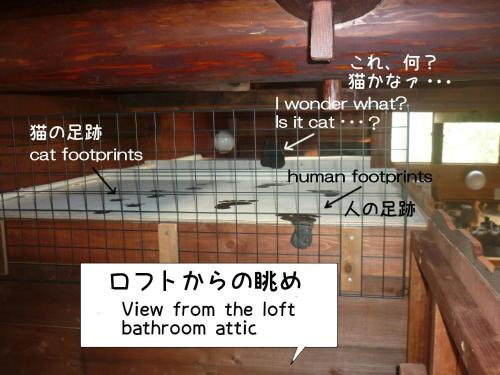 Rino to Hiroto no Himitsukichi - Vacation STAY 92317v in Minamiizu Rino to Hiroto no Himitsukichi - Vacation STAY 92317v in Minamiizu