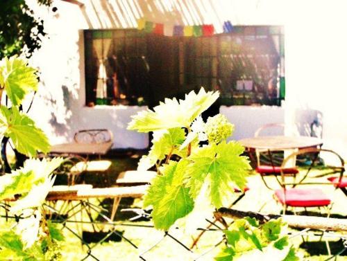 This photo about Hostel El Puesto shared on HyHotel.com