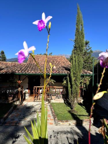 La Cabaña del Abuelo (La Cabana del Abuelo) in Merida La Cabaña del Abuelo (La Cabana del Abuelo) in Merida