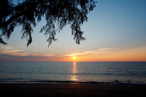 ハードソン リゾート14