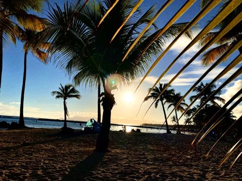 плаж, Ti kaz an nou in Anse de Sainte Anne плаж, Ti kaz an nou in Anse de Sainte Anne