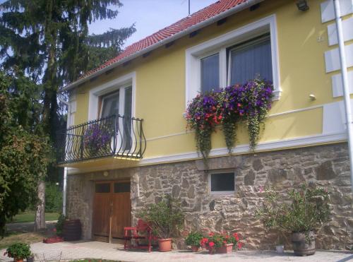 Kondics Apartmanhaz in Hegykozseg Kondics Apartmanhaz in Hegykozseg