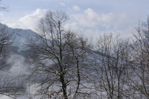 This photo about La Gentilhommiere shared on HyHotel.com