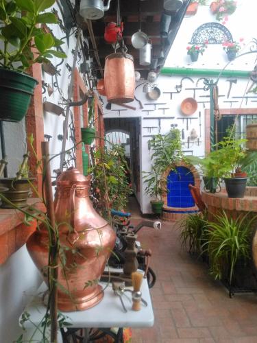 Apartamentos Casa Museo Jerez Centro