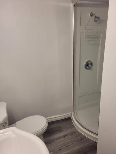 Adorable Studio Basement Suite in South Barrie in Barrie Adorable Studio Basement Suite in South Barrie in Barrie
